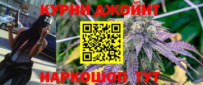 молекула духа Будённовск