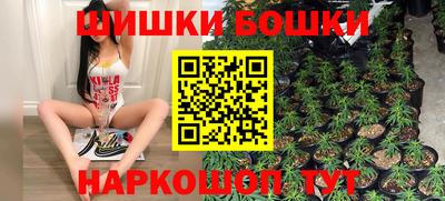 молекула духа Будённовск