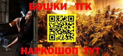 молекула духа Будённовск