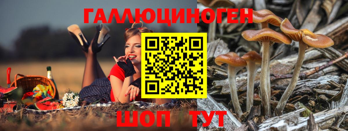Галлюциногенные грибы ЛСД  Вход с VPN  Майский 